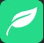 Budgetplant logo