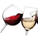 VinoVersa logo