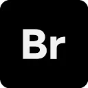 Brandbrains logo