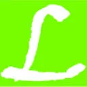 Lider Group logo