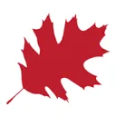 Boom De Kwekerij logo