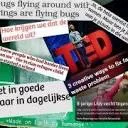 Minor De Staat van de Wereld HU logo