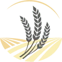 HaytoYou logo