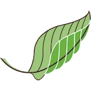 Bureau Natuurbalans - Limes Divergens logo