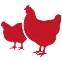 Ven Poultry B.V. logo