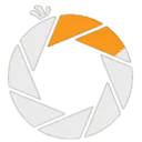 VideoBird logo