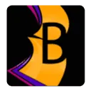 Bontje boekbinderij en albumafwerking bv logo