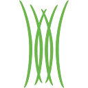 Messor logo