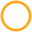 Rider International logo