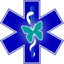 Wish Ambulance logo