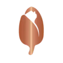 WoonHolland logo