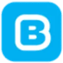 Buddy Payment logo