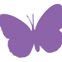 Huppeteam logo