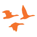 Anser logo