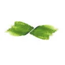 De Groene Artisanen logo
