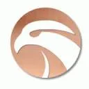 Copper Bird International logo