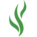 COmON Foundation logo