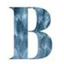 Bladendokter logo