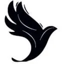 DroneQ Robotics logo