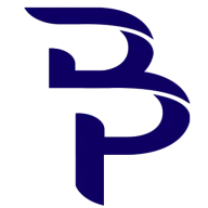 Borderless Professional logo