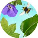 Sprinklr Planten logo