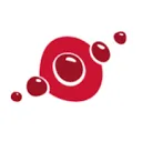 Redwell infrarood verwarming logo