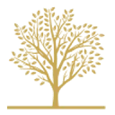 Nobilis Advies logo