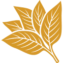 CdF Trading logo