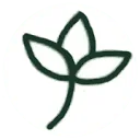 Study Association Nobis Cura Futuri logo