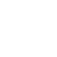 Logo van Flamingo Flowers AND Plants Netherlands