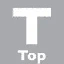 Top TeleService logo