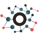 FRIS Risk Management logo