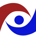 DSS Accountants AND Belastingadviseurs logo