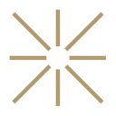 Anker Professionals logo