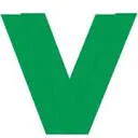 VueVision logo