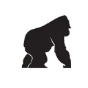 KING KONG HOSTEL logo