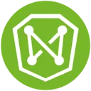 The Networkers logo