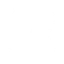 Full Image logo