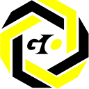 Go Flexteam logo