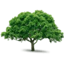 Damink tuin en landschap logo