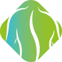 Belangenvereniging Patiënten Chiropractie logo