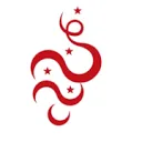 C-tin camerabewaking logo