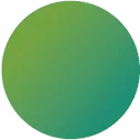SilverFit logo