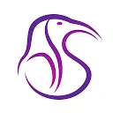 IBIS Management Associates logo
