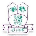 Io Vivat Nostrorum Sanitas logo