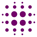 AMS Foundation logo