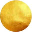 The Academy for Soul-based Coaching logo