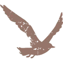 Strandpaviljoen De Zeemeeuw logo