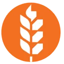 Van Aarsen International logo