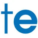 Theming Engineers logo